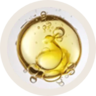 i-ingd-7