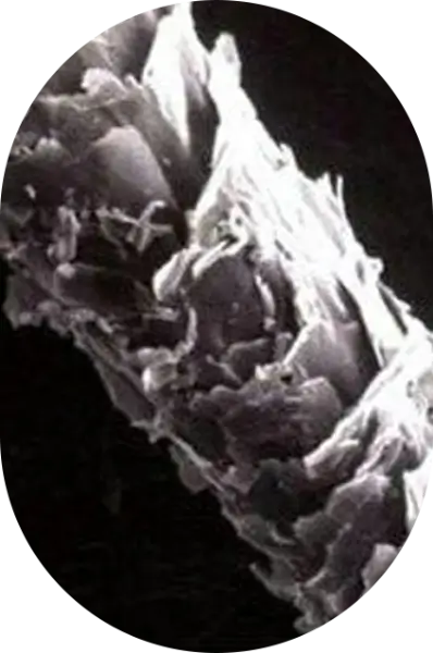 img-splithair