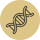 Decrease DNA Damage